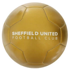 Metallic Gold Football -Club Sport Wear Shop 3535