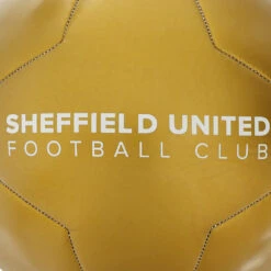 Metallic Gold Football -Club Sport Wear Shop 3537