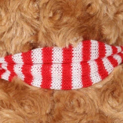 Big Paw Bear -Club Sport Wear Shop 4036